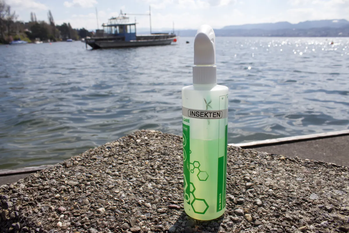Glint Out insect remover for car cleaning by Lake Zurich